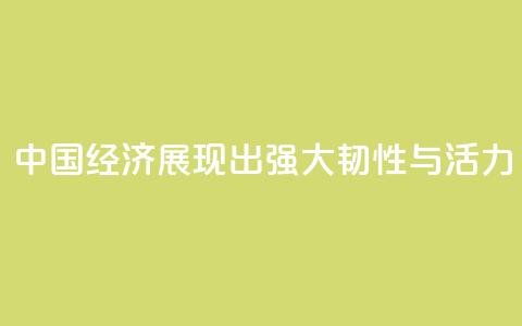 “中国经济展现出强大韧性与活力”  第1张
