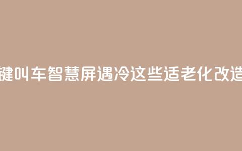 上海部分“一键叫车	”智慧屏遇冷？这些适老化改造问题待优化  第1张
