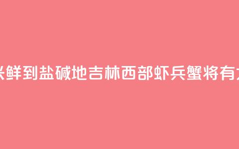 (乡村行·看振兴)“鲜”到盐碱地 吉林西部“虾兵蟹将”有大作为 第1张 (乡村行·看振兴)“鲜”到盐碱地 吉林西部“虾兵蟹将”有大作为 第1张
