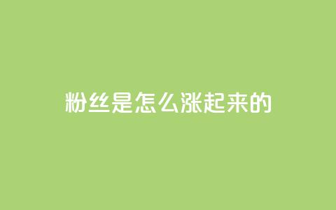 粉丝是怎么涨起来的,qq空间点赞自助 - qq空间说说刷转发数量 qq自助平台全网最低 第1张 粉丝是怎么涨起来的,qq空间点赞自助 - qq空间说说刷转发数量 qq自助平台全网最低 第1张