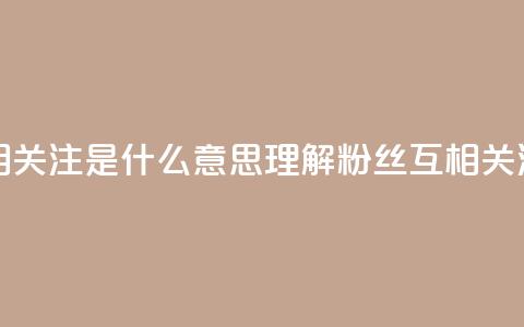 粉丝互相关注是什么意思(理解粉丝互相关注的含义) 第1张 粉丝互相关注是什么意思(理解粉丝互相关注的含义) 第1张