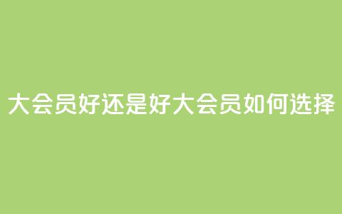 qq大会员好还是svip好(qq大会员vs svip:如何选择) 第1张 qq大会员好还是svip好(qq大会员vs svip:如何选择) 第1张
