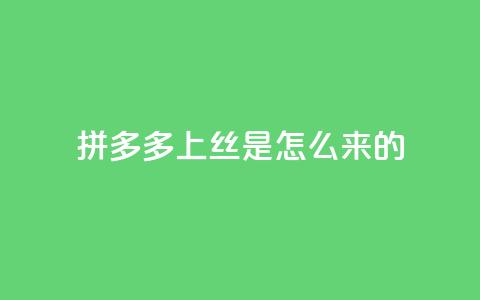拼多多上丝是怎么来的 - 抖音怎么放外网链接 第1张 拼多多上丝是怎么来的 - 抖音怎么放外网链接 第1张