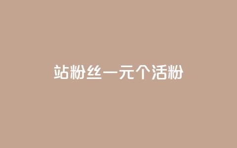 b站粉丝一元1000个活粉 - 如何在B站获得1000个活跃粉丝,仅需1元~ 第1张 b站粉丝一元1000个活粉 - 如何在B站获得1000个活跃粉丝,仅需1元~ 第1张