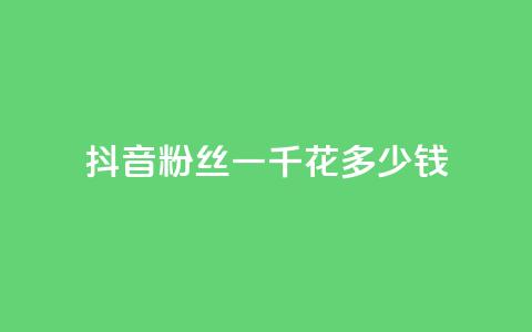 抖音粉丝一千花多少钱 - 购买一千个抖音粉丝的价格！ 第1张