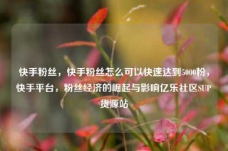 快手粉丝，快手粉丝怎么可以快速达到5000粉，快手平台，粉丝经济的崛起与影响亿乐社区SUP货源站