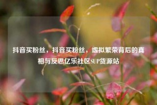 抖音买粉丝，抖音买粉丝，虚拟繁荣背后的真相与反思亿乐社区SUP货源站