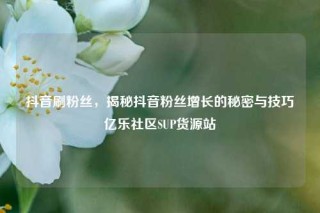 抖音刷粉丝，揭秘抖音粉丝增长的秘密与技巧亿乐社区SUP货源站