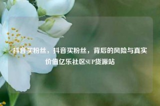 抖音买粉丝，抖音买粉丝，背后的风险与真实价值亿乐社区SUP货源站
