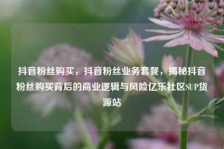抖音粉丝购买，抖音粉丝业务套餐，揭秘抖音粉丝购买背后的商业逻辑与风险亿乐社区SUP货源站