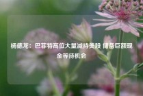 杨德龙：巴菲特高位大量减持美股 储备巨额现金等待机会