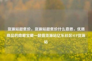 货源站超低价，货源站超低价什么意思，优质商品的隐藏宝藏—超值货源站亿乐社区SUP货源站