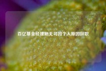 百亿基金经理鲍无可因个人原因辞职