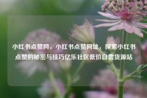 小红书点赞网，小红书点赞网址，探索小红书点赞的秘密与技巧亿乐社区低价自营货源站