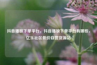 抖音播放下单平台，抖音播放下单平台有哪些，亿乐社区低价自营货源站