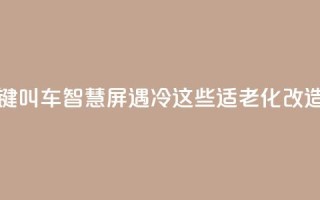 上海部分“一键叫车”智慧屏遇冷？这些适老化改造问题待优化