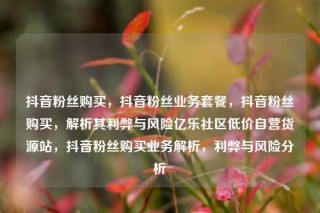 抖音粉丝购买，抖音粉丝业务套餐，抖音粉丝购买，解析其利弊与风险亿乐社区低价自营货源站，抖音粉丝购买业务解析，利弊与风险分析