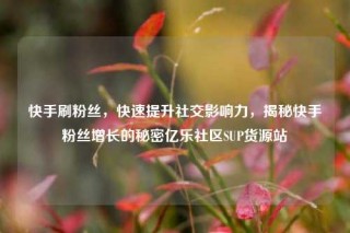 快手刷粉丝，快速提升社交影响力，揭秘快手粉丝增长的秘密亿乐社区SUP货源站