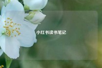 小红书读书笔记