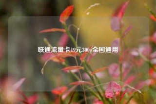 联通流量卡19元300g全国通用