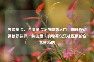 纯流量卡，纯流量卡免费申请入口，解锁移动通信新选择—纯流量卡的秘密亿乐社区低价自营货源站