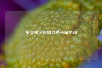 贝克微公布拟变更公司名称