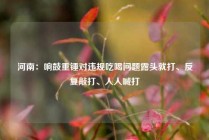 河南：响鼓重锤对违规吃喝问题露头就打、反复敲打、人人喊打