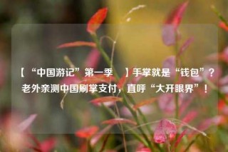 【“中国游记”第一季㉗】手掌就是“钱包”？老外亲测中国刷掌支付，直呼“大开眼界”！