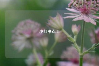 小红书点工