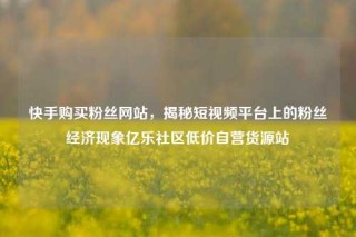 快手购买粉丝网站，揭秘短视频平台上的粉丝经济现象亿乐社区低价自营货源站