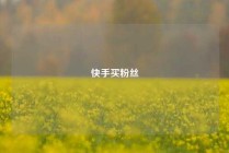 快手买粉丝