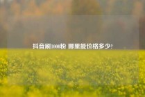 抖音刷1000粉 哪里能价格多少?
