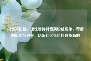 抖音买粉丝，理性看待抖音买粉丝现象，背后的风险与思考，亿乐社区低价自营货源站
