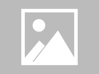 所有汽车公司都把战略重心放在了利润更高的SUV车型上 | 2025上海车展