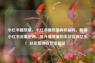 小红书播放量，小红书播放量有收益吗，解锁小红书流量密码，提升播放量的实战指南亿乐社区低价自营货源站