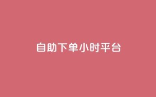 自助下单24小时平台ks - 巨量千川投放300块能出几单