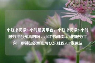 小红书阅读24小时服务平台，小红书阅读24小时服务平台是真的吗，小红书阅读24小时服务平台，解锁知识新世界亿乐社区SUP货源站