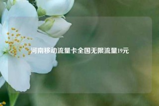 河南移动流量卡全国无限流量19元