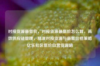对接货源最低价，对接货源最低价怎么算，高效供应链管理，精准对接货源与最低价格策略亿乐社区低价自营货源站
