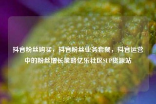 抖音粉丝购买，抖音粉丝业务套餐，抖音运营中的粉丝增长策略亿乐社区SUP货源站