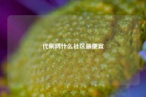 代刷网什么社区最便宜