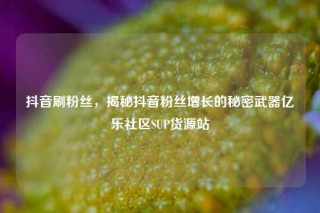 抖音刷粉丝，揭秘抖音粉丝增长的秘密武器亿乐社区SUP货源站