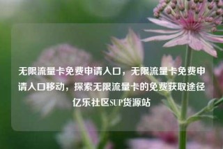 无限流量卡免费申请入口，无限流量卡免费申请入口移动，探索无限流量卡的免费获取途径亿乐社区SUP货源站