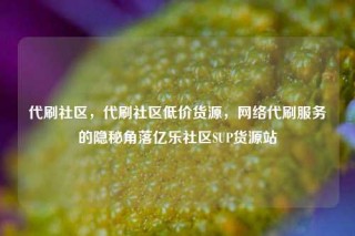代刷社区，代刷社区低价货源，网络代刷服务的隐秘角落亿乐社区SUP货源站