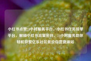 小红书点赞24小时服务平台，小红书任务接单平台，解锁小红书流量密码，24小时服务助你轻松获赞亿乐社区低价自营货源站