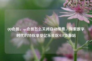 QQ会员，qq会员怎么关闭自动续费，探索数字时代的特权享受亿乐社区SUP货源站
