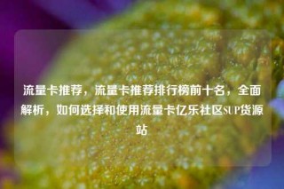 流量卡推荐，流量卡推荐排行榜前十名，全面解析，如何选择和使用流量卡亿乐社区SUP货源站
