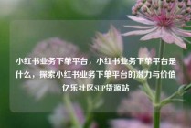 小红书业务下单平台，小红书业务下单平台是什么，探索小红书业务下单平台的潜力与价值亿乐社区SUP货源站