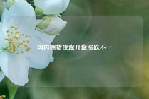 国内期货夜盘开盘涨跌不一