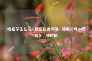 2名留学生在马来西亚伪造绑架，骗取父母500万赎金，被逮捕